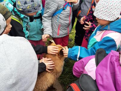 Projektový den lesní pedagogiky na hájovně Nechyba