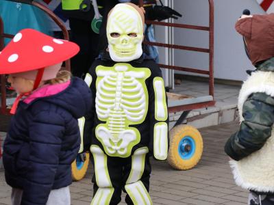 Masopustní průvod Malšicemi